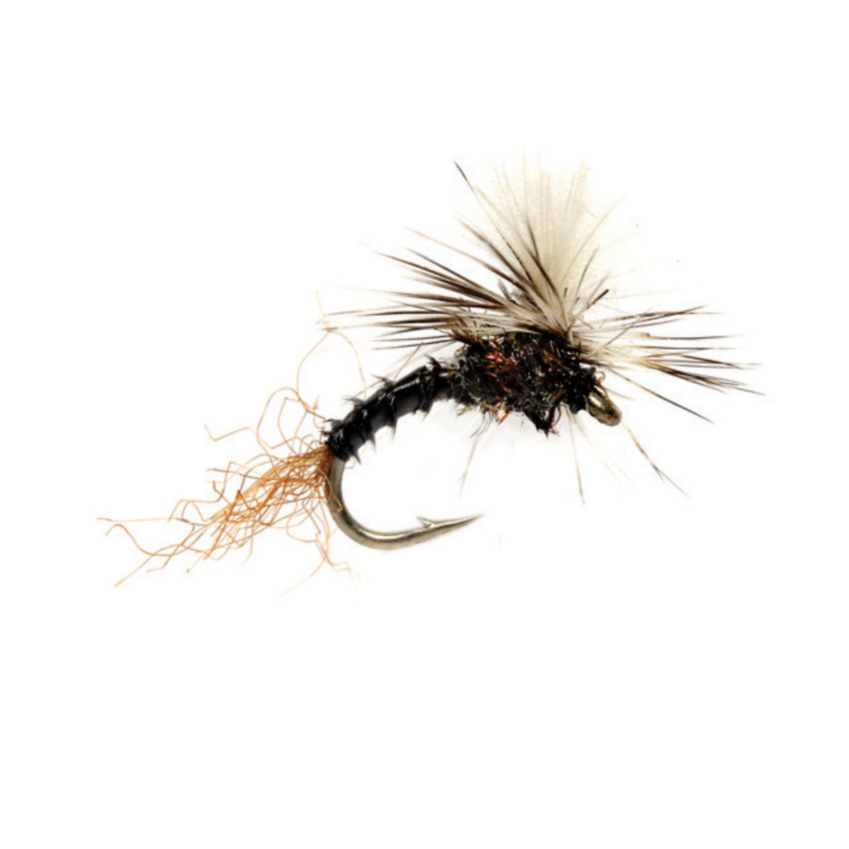 Birchell’s Hatching Midge - US 3946