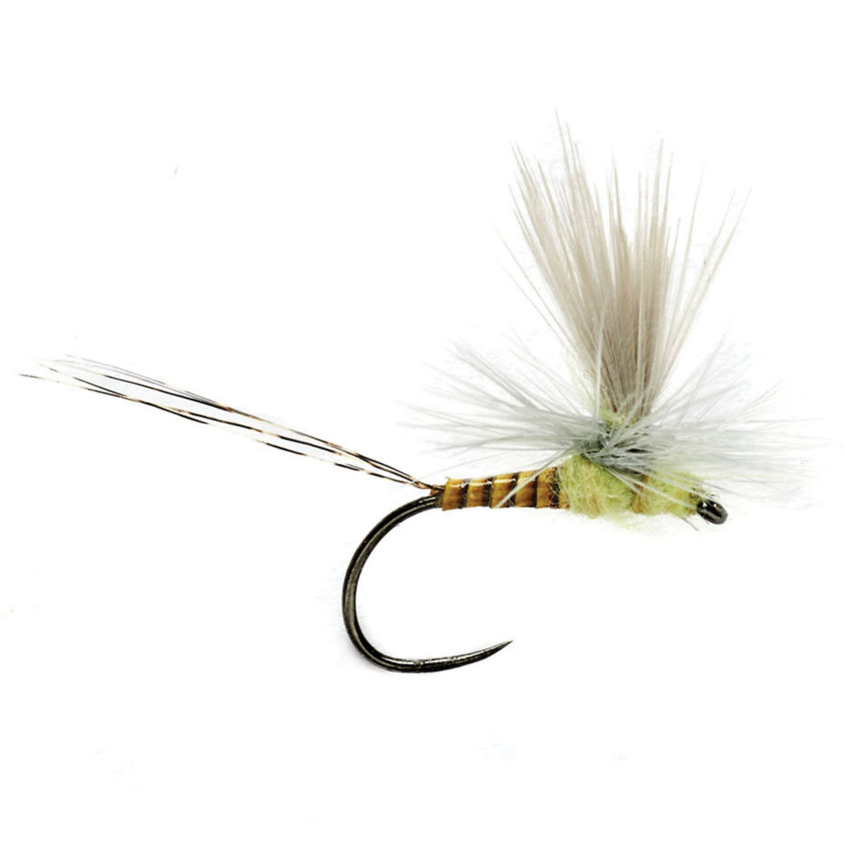 Lexi’s Tactical Get ’Er Dun May - US 0458