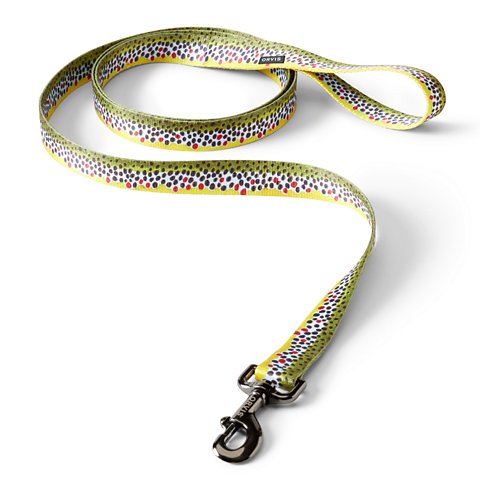 Personalized Side-Release Buckle Collar & Leash - US 6103