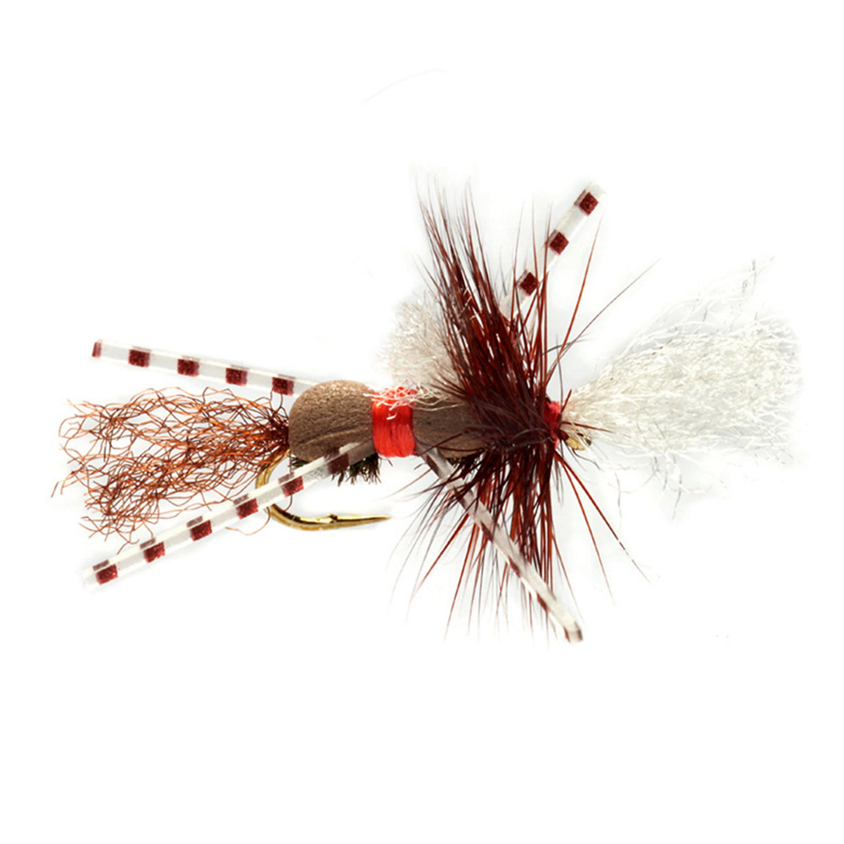 Grumpy Frumpy - US 8650