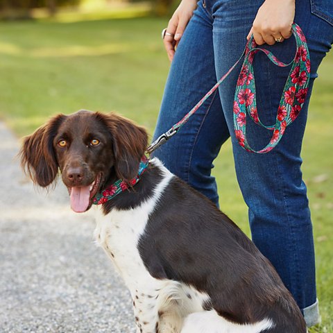 Orvis x Fishe® Wear Dog Leash - US 3195