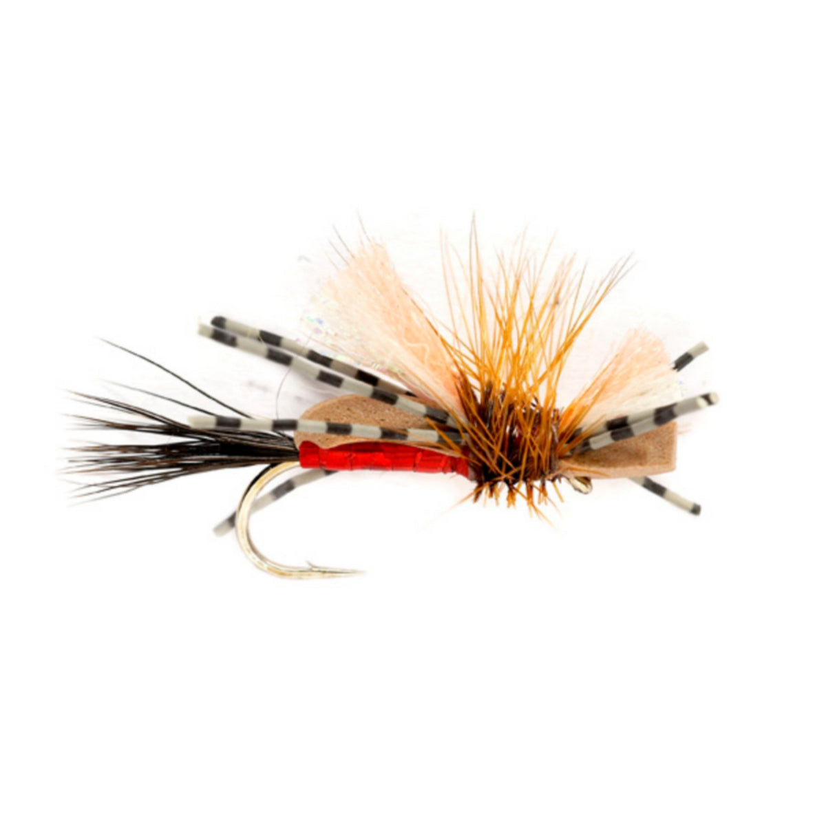 Holo Humpy - US 7154