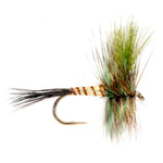 Eastern Green Drake - US 2705