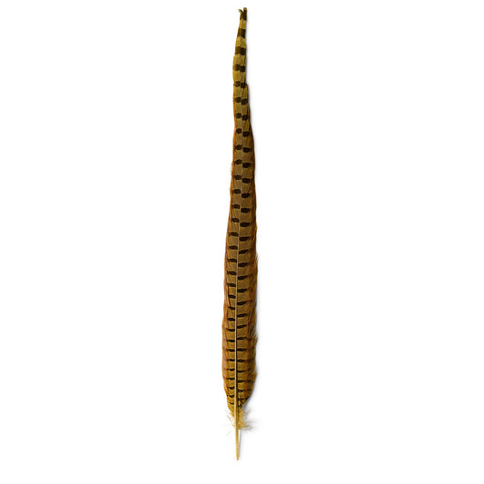 Pheasant Tail - US 7660