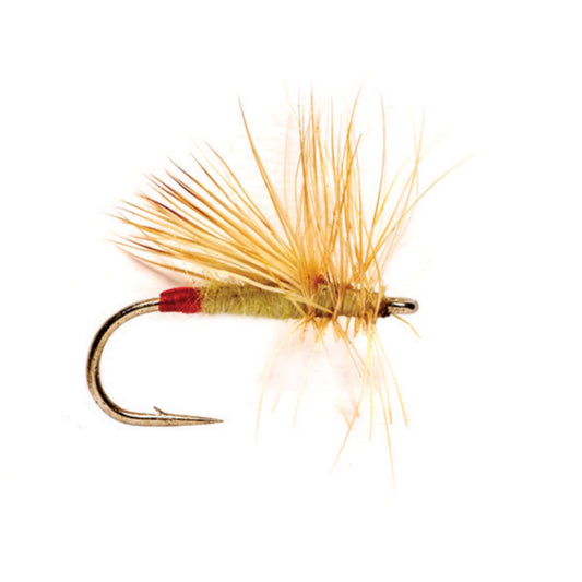 Yellow Sally - US 5130