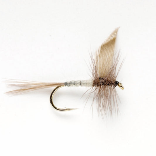 Blue Dun - US 0675