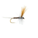 Quill Gordon - US 9057