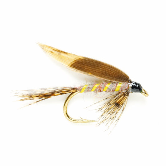 March Brown Wet - US 9669