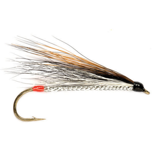 Black Nose Dace - US 0413