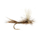 Parachute Hare’s Ear (Schroeder’s) - US 6482
