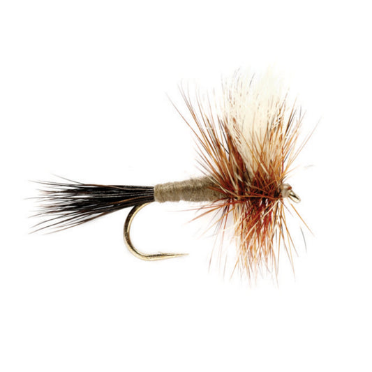 Adams Wulff - US 8914