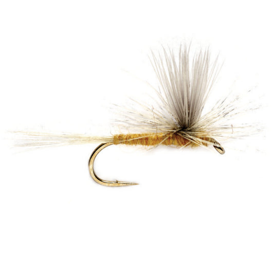 Sulphur Parachute - US 8633