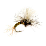 Birchell’s Hatching Midge - US 2921
