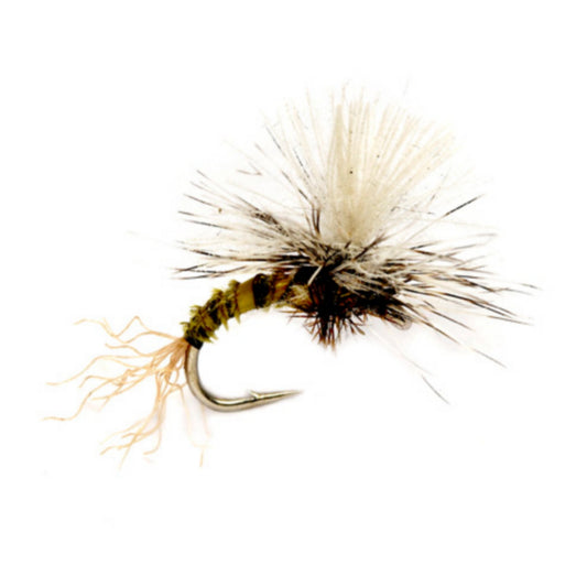 Birchell’s Hatching Midge - US 2921