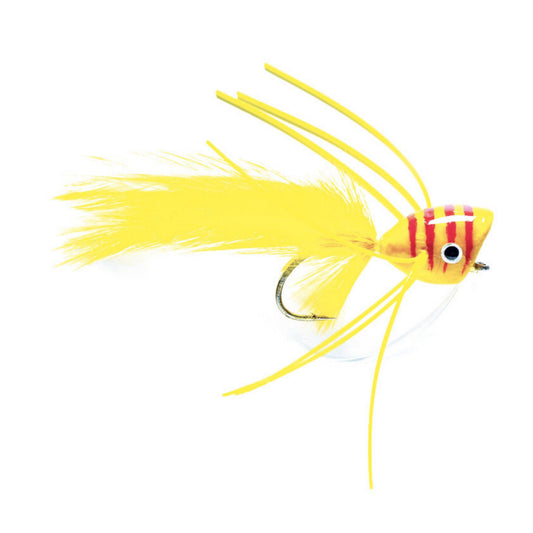 Bass Popper - US 3484