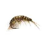 Oliver Edward’s Freshwater Shrimp - US 6425