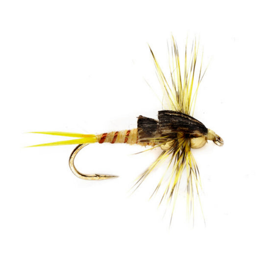 Tunghead Stonefly - US 0523