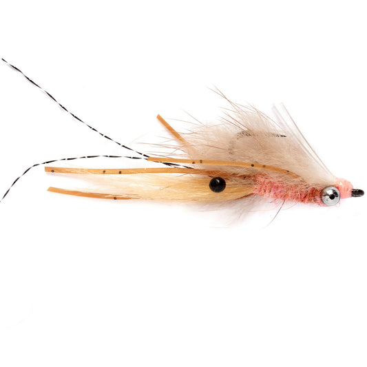 Mink Shrimp - US 5560
