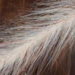 Fair Flies 5D Brushes - US 8456