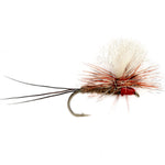 Dave’s Oh-So-Iso - US 5251