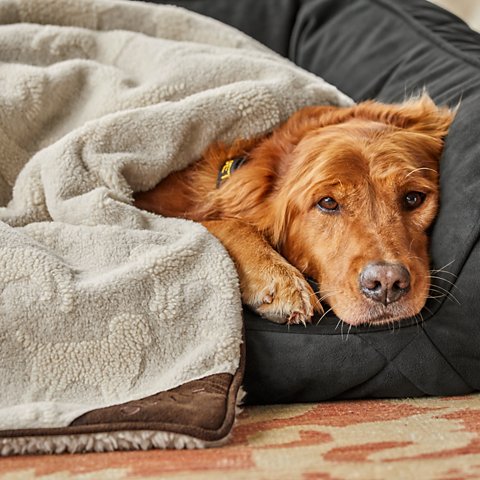 Embossed Sherpa Throw - US 2788