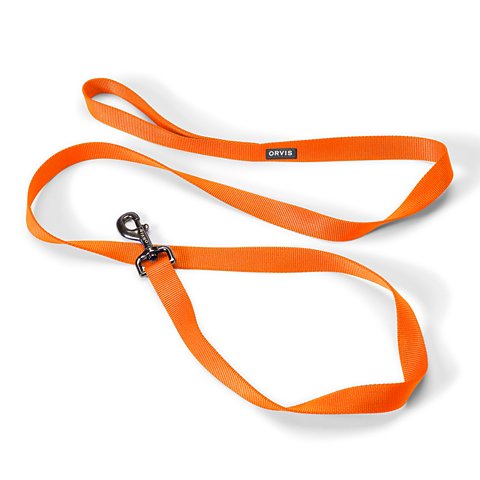 Personalized Side-Release Buckle Collar & Leash - US 6624