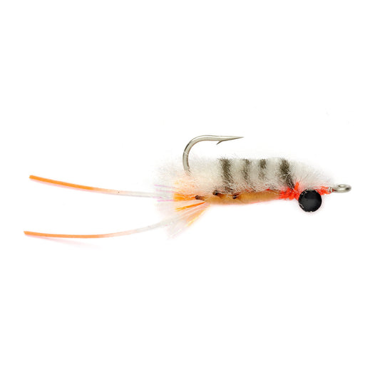 Vlahos’ Marbled Sand Flea - US 5177