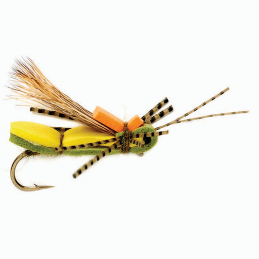 Baile’s Panther Creek Hopper - US 0366