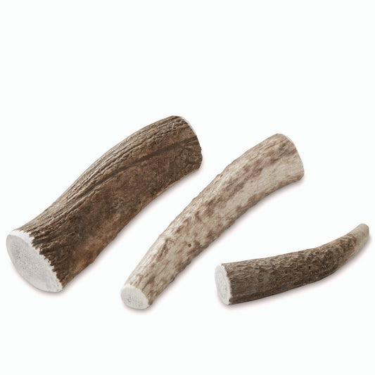 Elk Antler Chews - US 7137
