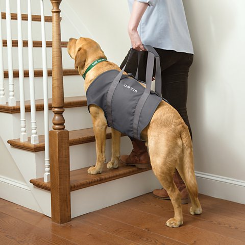 Dog Lift - US 2264