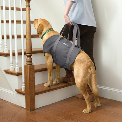 Dog Lift - US 2264