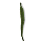 Mangum’s Mini Dragon Tail - US 1999