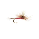 Pink Parachute Adams - US 1169