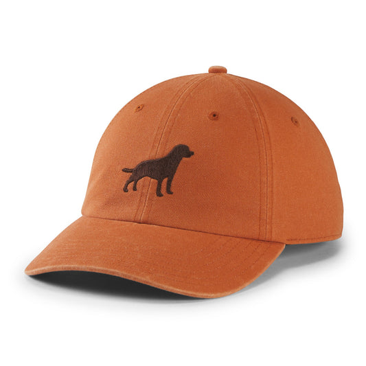 Embroidered Lab Ball Cap - US 6422