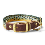 Whiskey Leatherworks Adjustable Collar - US 4399