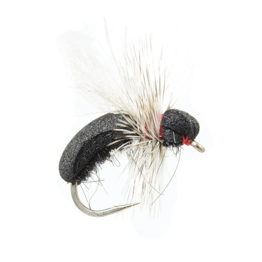 Black Toast Ant - US 1494