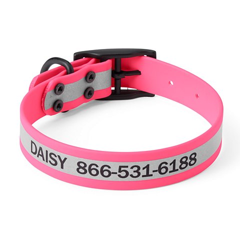 Orvis Waterproof Dog Collar - US 4420