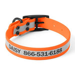 Orvis Waterproof Dog Collar - US 1713