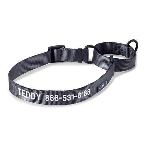Orvis Martingale Collar & Leash Bundle - US 6352