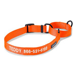 Orvis Martingale Collar & Leash Bundle - US 7920