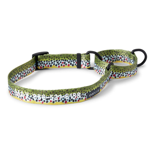 Orvis Martingale Collar & Leash Bundle - US 6284