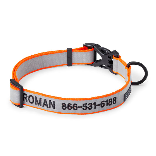 Orvis Reflective Collar & Leash Bundle - US 4194