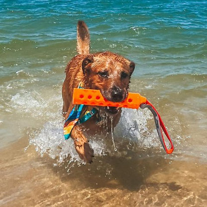Hydro Floating Dog-Training Bumper - US 0706
