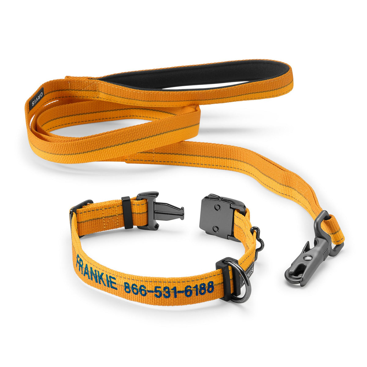 Tough Trail® Collar & Leash Bundle - US 9964
