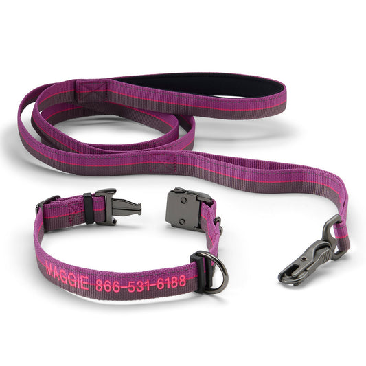 Tough Trail® Collar & Leash Bundle - US 8916