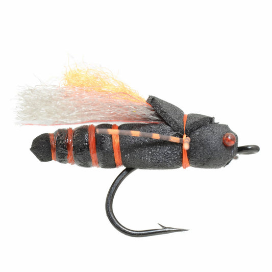 Project Cicada - US 3792