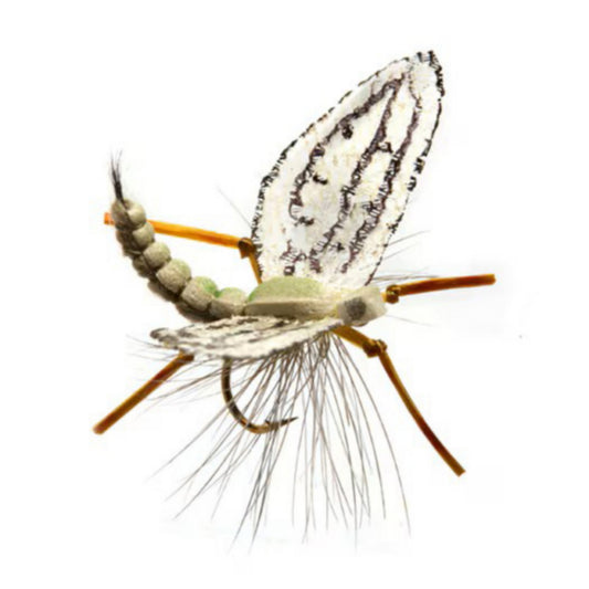 Spotts’ Western Green Drake - US 0631