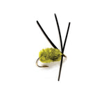 Bully Bluegill Spider - US 7212