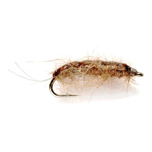 Rouse’s J-Dub Sow Bug - US 4022