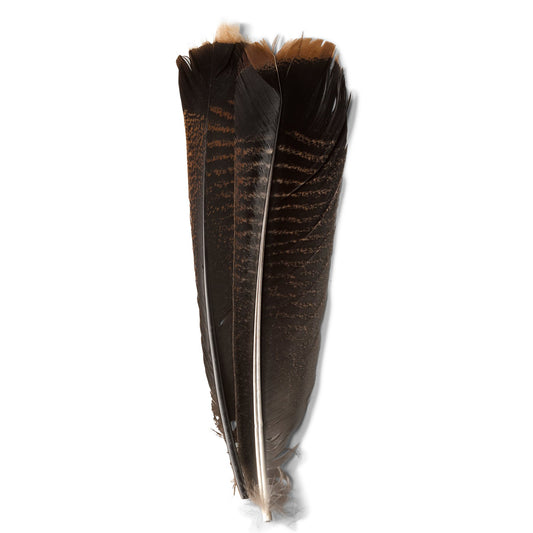 Mottled Turkey Feathers - US 1758
